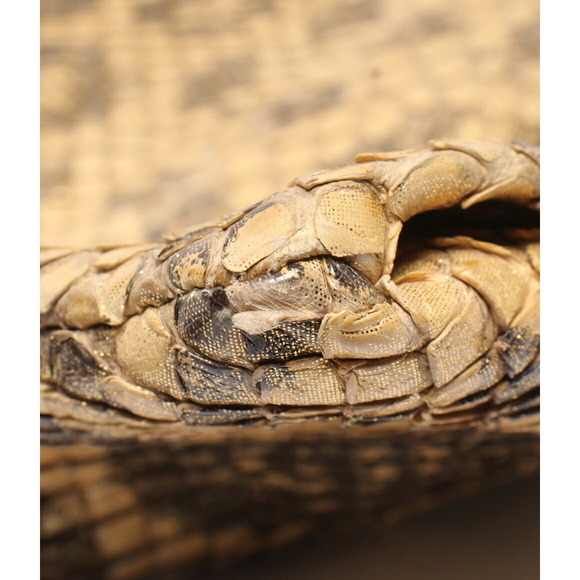 Gucci Bag Python Tote Pattern Chain Shoulder - Picture 5 of 8